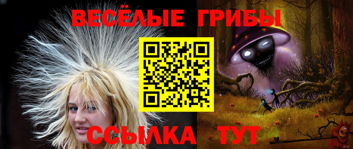 Псилоцибиновые грибы Cubensis  купить  цена  Вход с VPN  Люберцы  Галлюциногенные грибы Psilocybine cubensis 