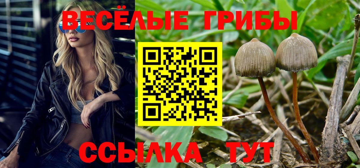 Псилоцибиновые грибы Magic Shrooms Люберцы